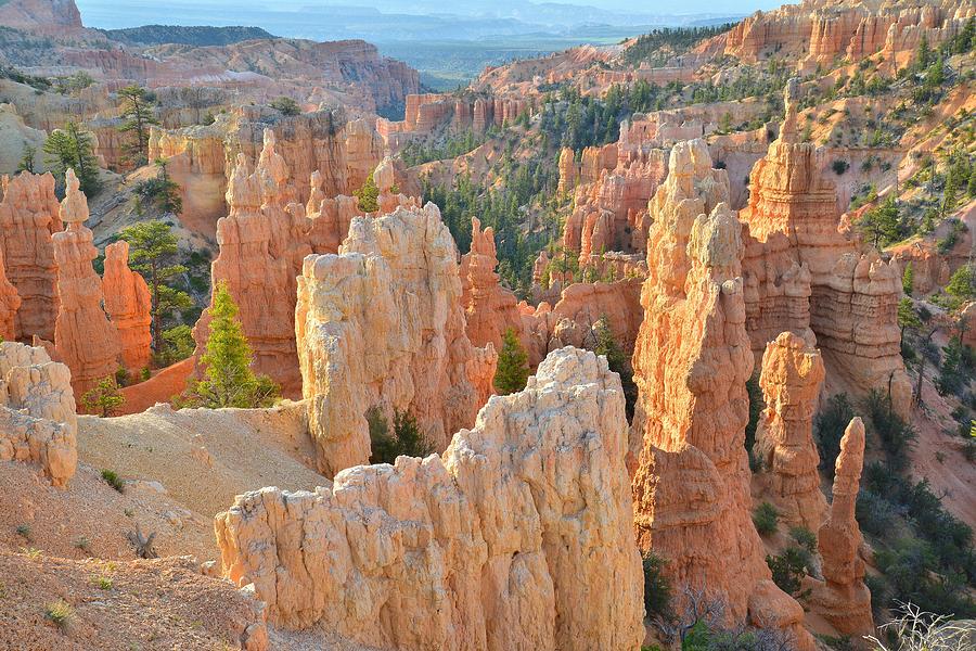Fairyland Canyon #29 Photograph by Ray Mathis