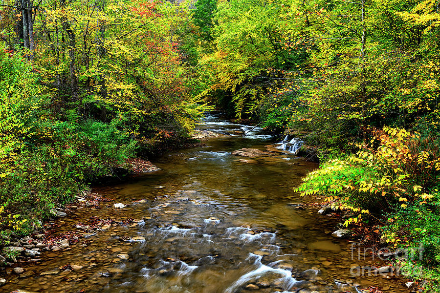 Fall Color Leatherwood Creek #4 Photograph by Thomas R Fletcher