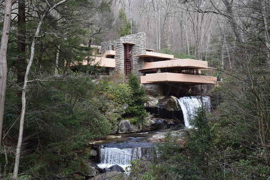 Fallingwater #4 Photograph by Curtis Krusie