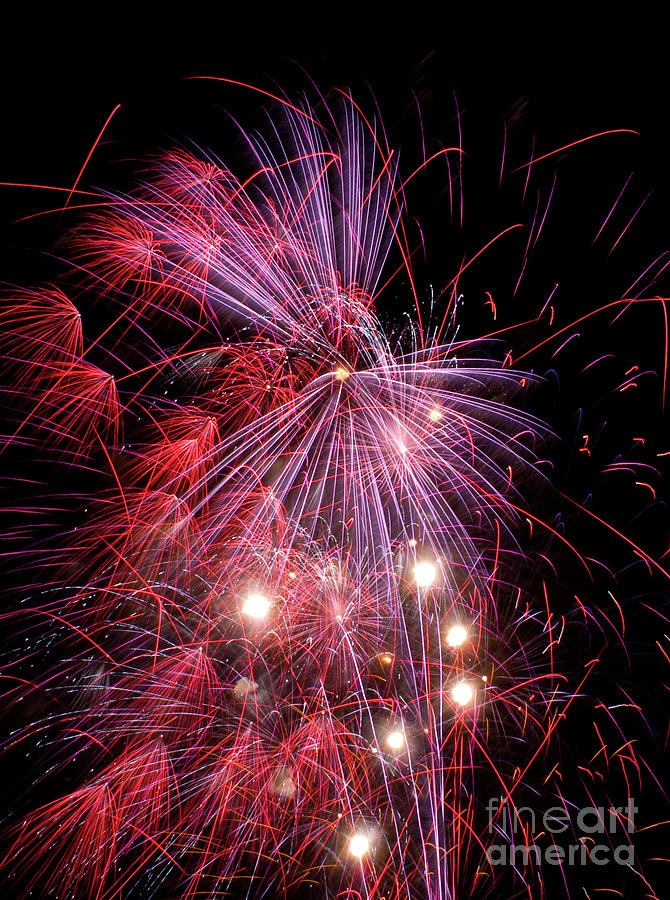 Fireworks #4 Photograph by Anthony Totah