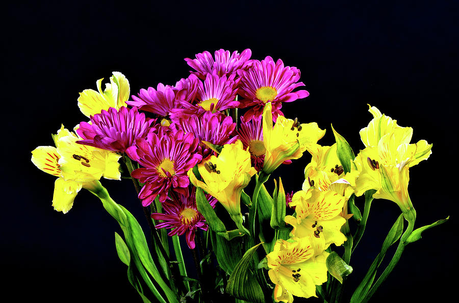 Spring Photograph - Floral arrangement #4 by Paul Moore