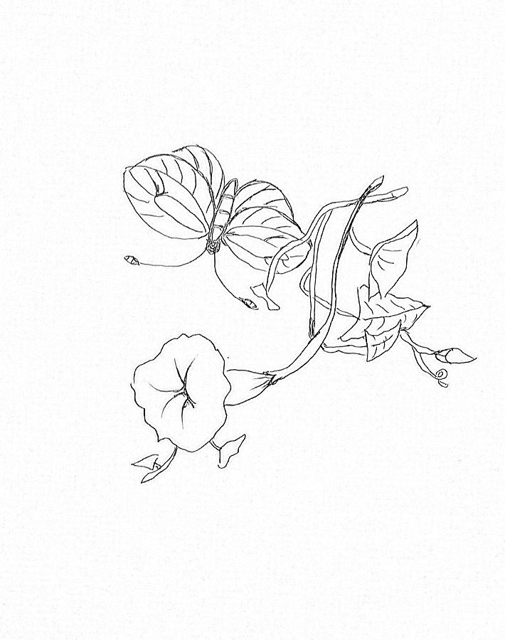Flower and butterfly  #4 Drawing by Hae Kim
