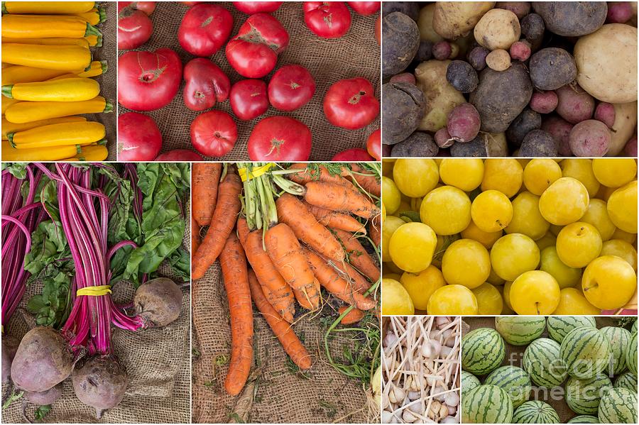 Fruit and Vegetable Collage Photograph by Ezume Images | Fine Art America