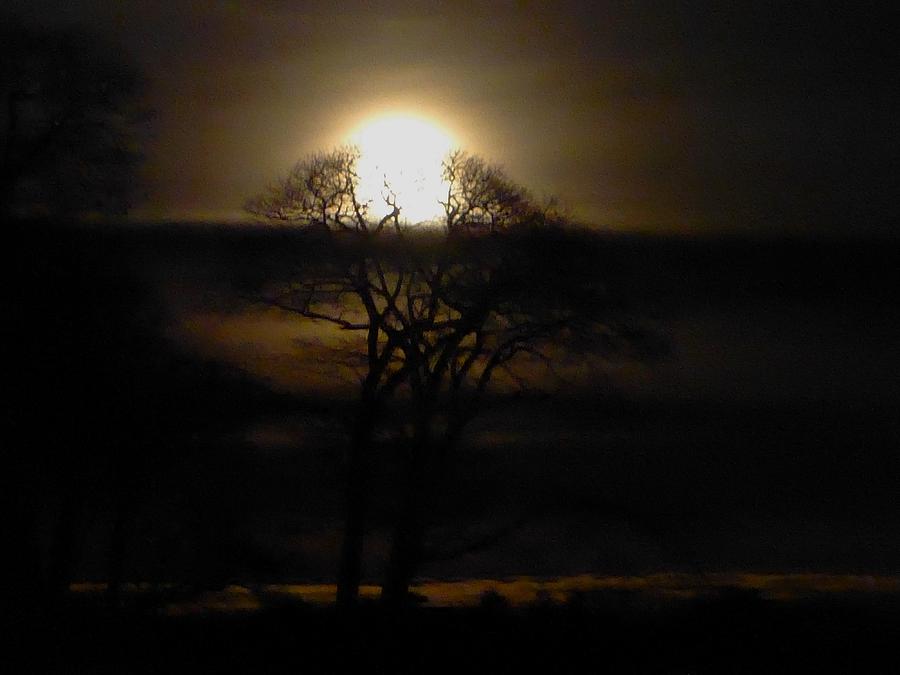 Full Wolf Moon Photograph
