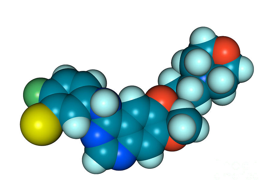 Gefitinib Molecular Model #4 Photograph by Scimat