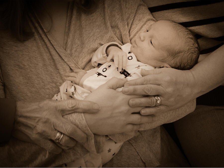 4 Generations Hand In Hand Photograph By Chester Wiker | Fine Art America