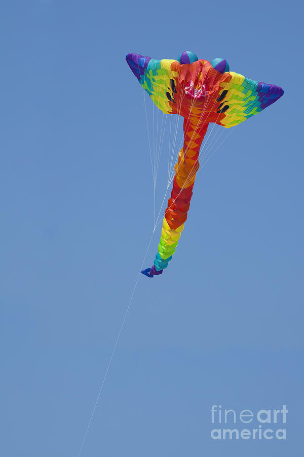 Go Fly a Kite #4 Photograph by Anthony Totah