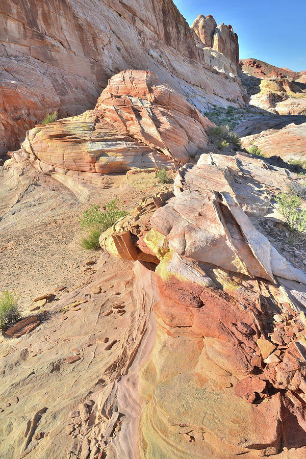 Golden Domes Back Country in Valley of Fire #6 Photograph by Ray Mathis