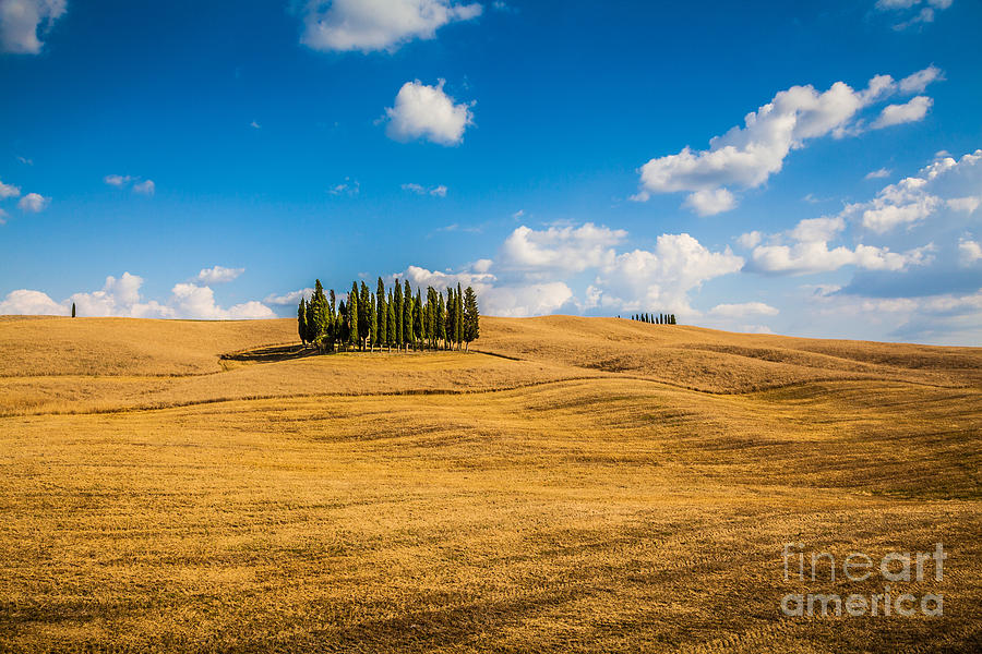 Golden Tuscany #4 Photograph by JR Photography
