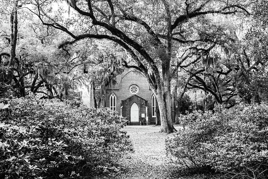 Grace Episcopal Church Under the Oaks - BW Photograph by Scott Pellegrin