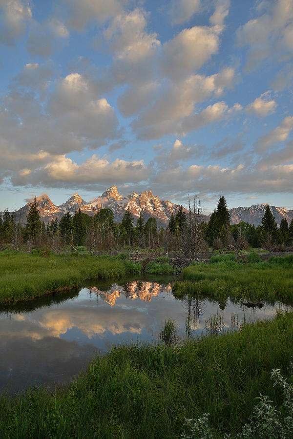Grand Teton National Park #4 Photograph by Ray Mathis