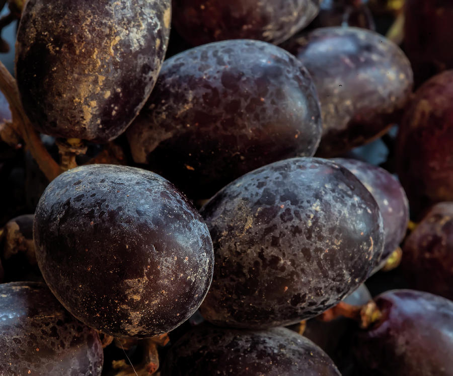 Grape Still Life #4 Photograph by Robert Ullmann