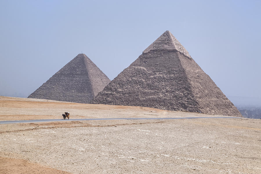 Camel Photograph - Great Pyramids of Giza - Egypt #4 by Joana Kruse
