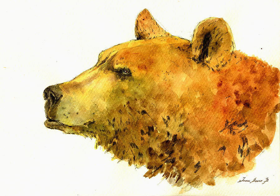 Grizzly Painting - Grizzly bear watercolor painting by Juan  Bosco