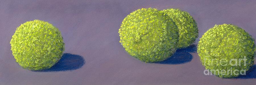 4 Hedge Apples Painting by Mary Erbert