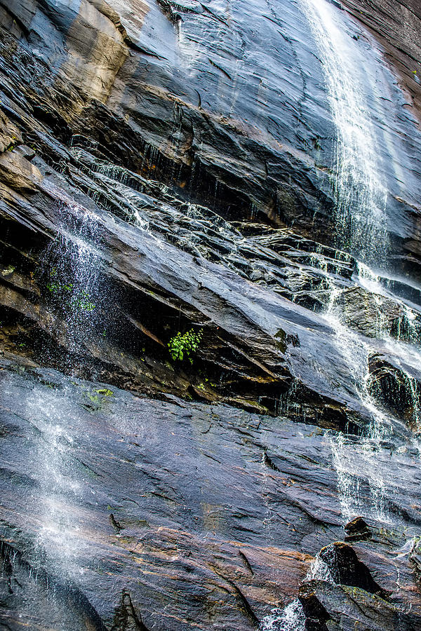 Hickory Nut Waterfalls During Daylight Summer Photograph