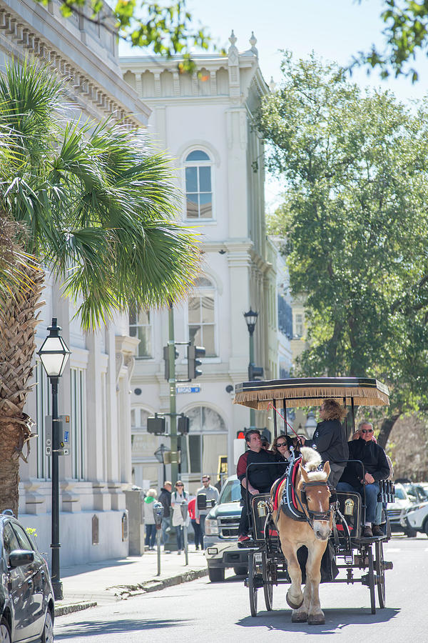 Historic Charleston South Carolina Downtown Scenery #4 Photograph by Alex Grichenko