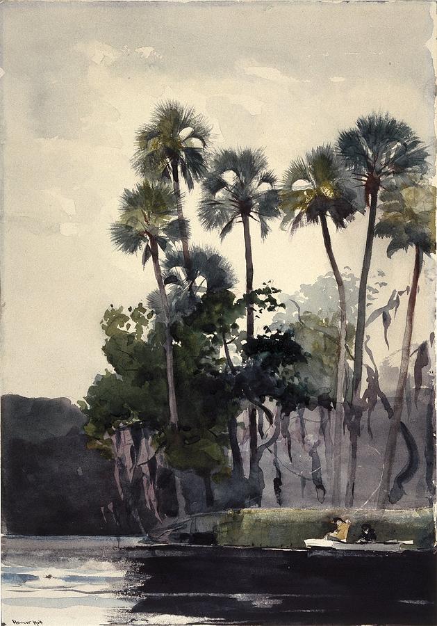 Homosassa River #4 Painting by Winslow Homer