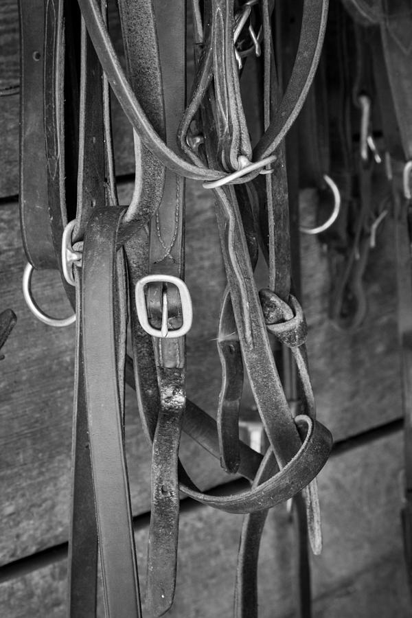 Horse Tack #4 Photograph by Erin Cadigan