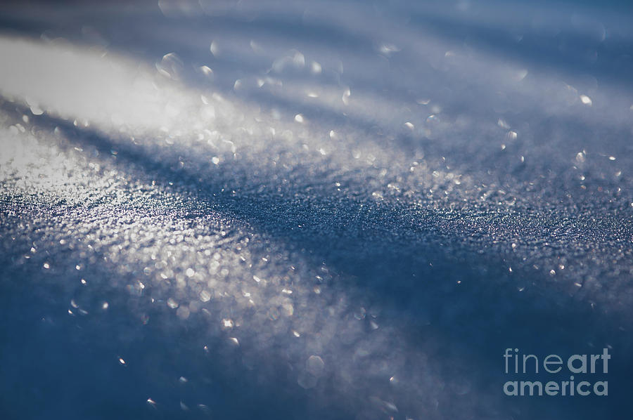 Ice Crystals #5 Photograph by Jim Corwin