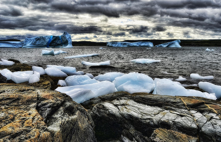 Icebergs at St. Anthony #4 Photograph by Steve Hurt