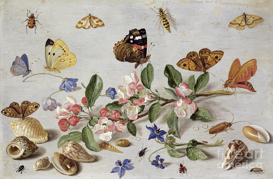 Flower Painting - Insects by Jan Van Kessel