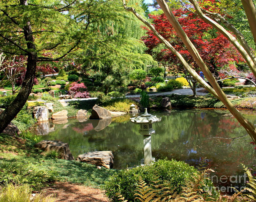 Japanese Garden-gibbs Gardens Georgia #5 Photograph By Charlene Cox 