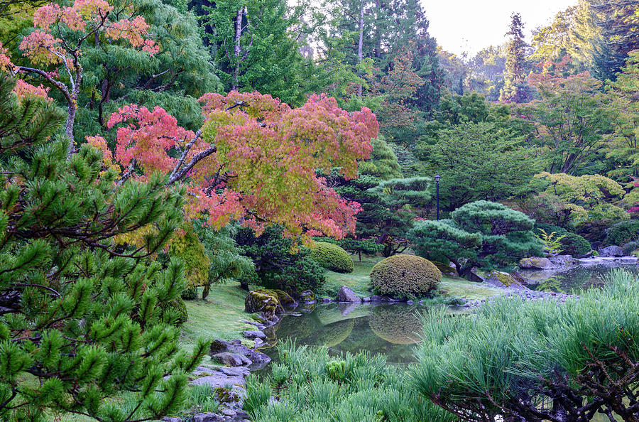 Japanese Garden, Seattle #4 Digital Art by Michael Lee