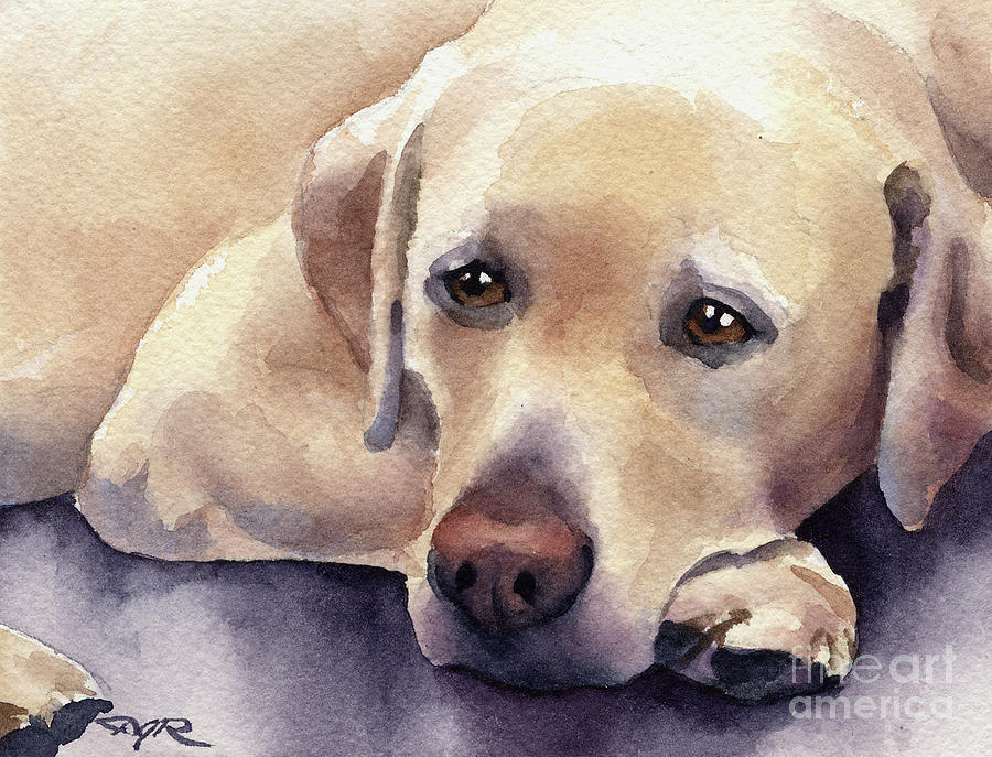 Portrait Painting - Labrador Retriever #3 by David Rogers
