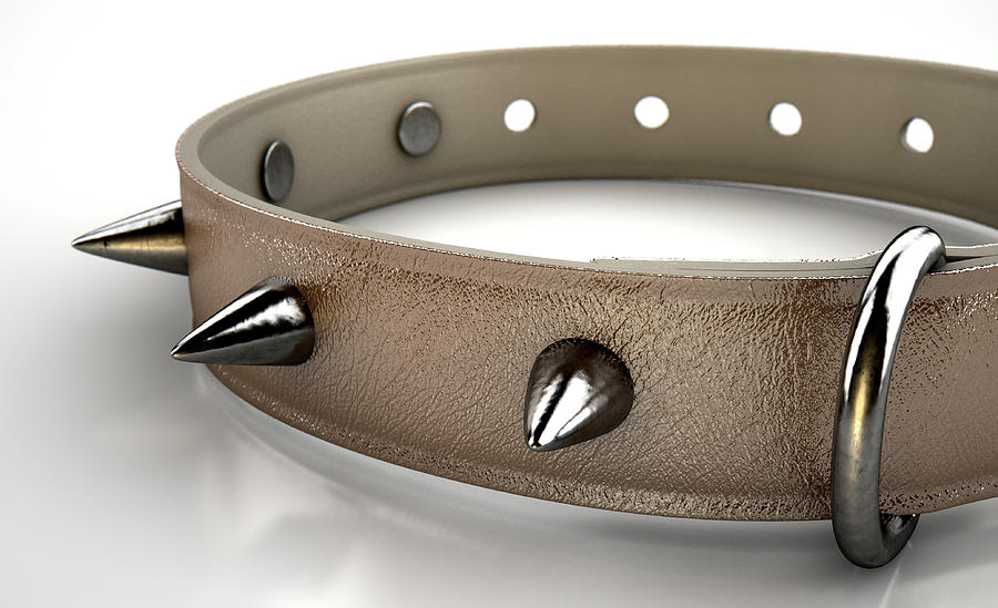 Collar Digital Art - Leather Studded Collar by Allan Swart Collar Digital Art - Leather Studded Collar by Allan Swart