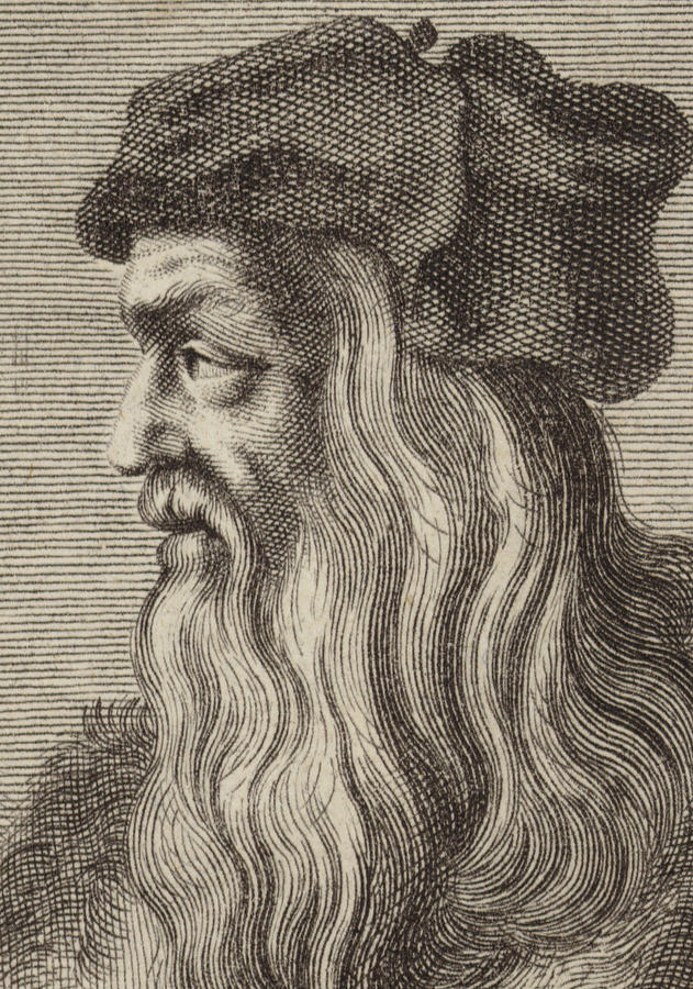 Leonardo Da Vinci Drawing - Leonardo Da Vinci by English School