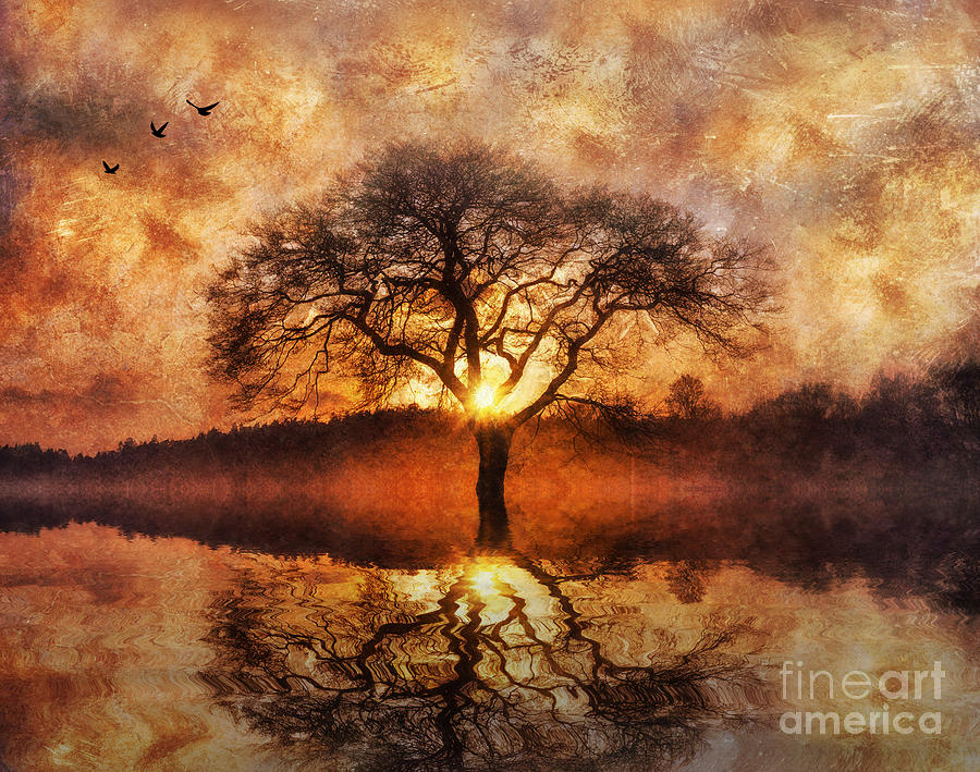 Lone Tree #4 Digital Art by Ian Mitchell