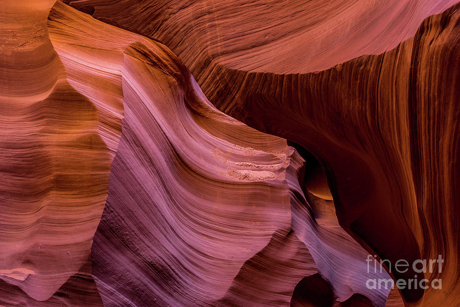 Lower Antelope Canyon #6 Photograph by Craig Shaknis