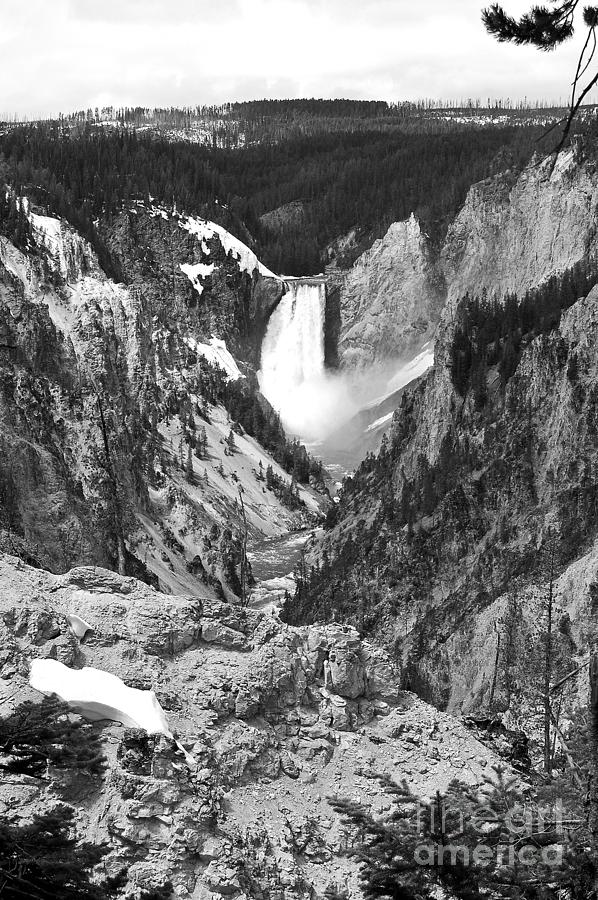 Lower Falls from Artist Point Yellowstone National Park Wyoming Black and White #1 Photograph by Shawn OBrien