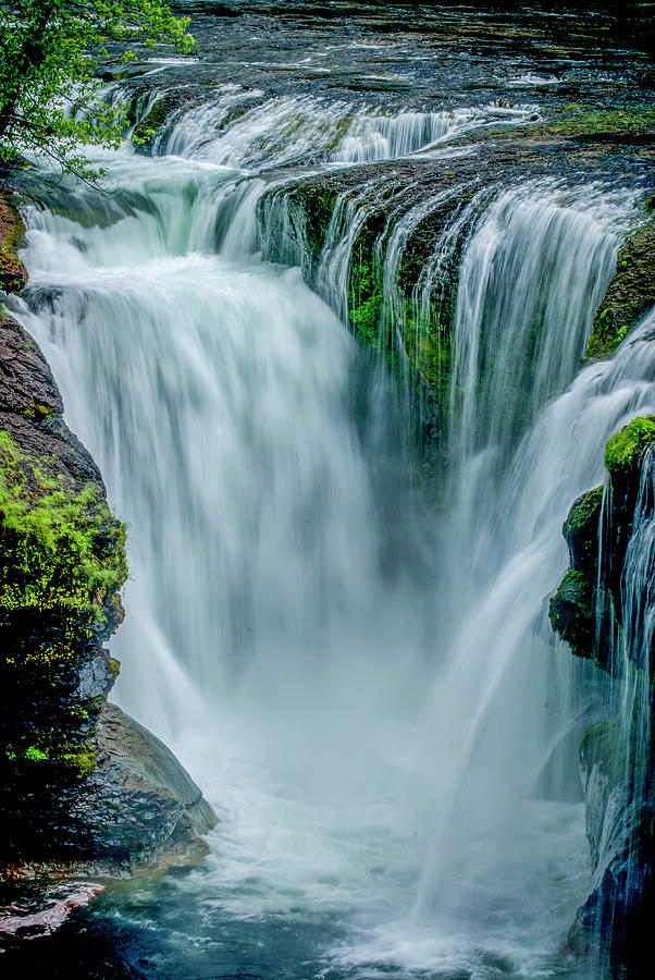 https://images.fineartamerica.com/images/artworkimages/mediumlarge/1/4-lower-lewis-river-falls-michael-sedam.jpg