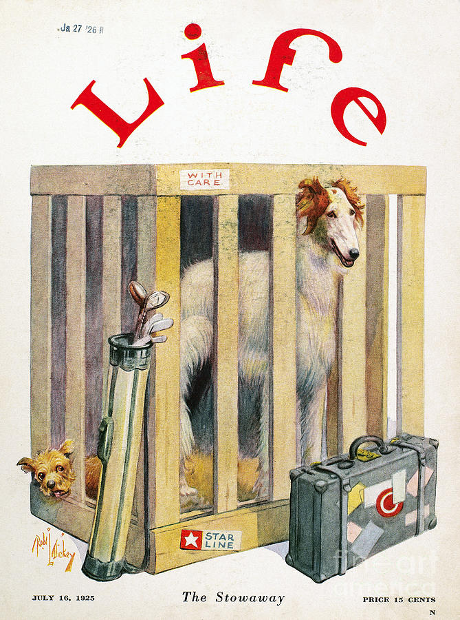 Life Magazine Cover, 1925 #6 Drawing by Granger