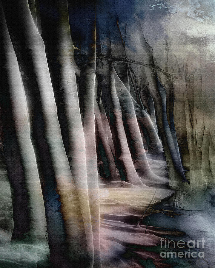 Magic of the Woods #4 Digital Art by Edmund Nagele FRPS