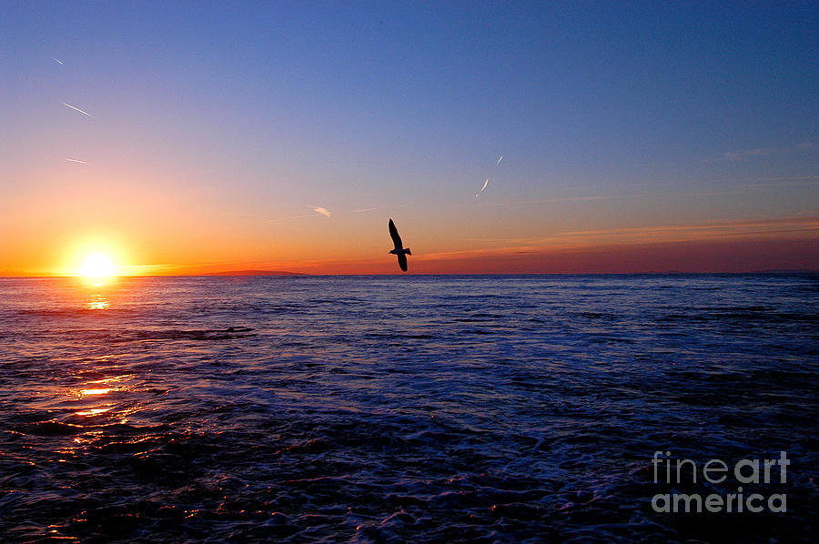 Malibu sunrise #4 Photograph by Marc Bittan