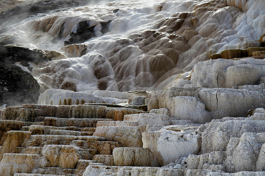 Mammoth Hot Springs abstract #4 Photograph by Shirley Mitchell