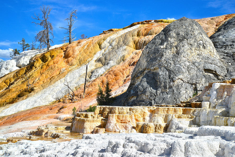 Mammoth Hot Springs #4 Photograph by Ray Mathis