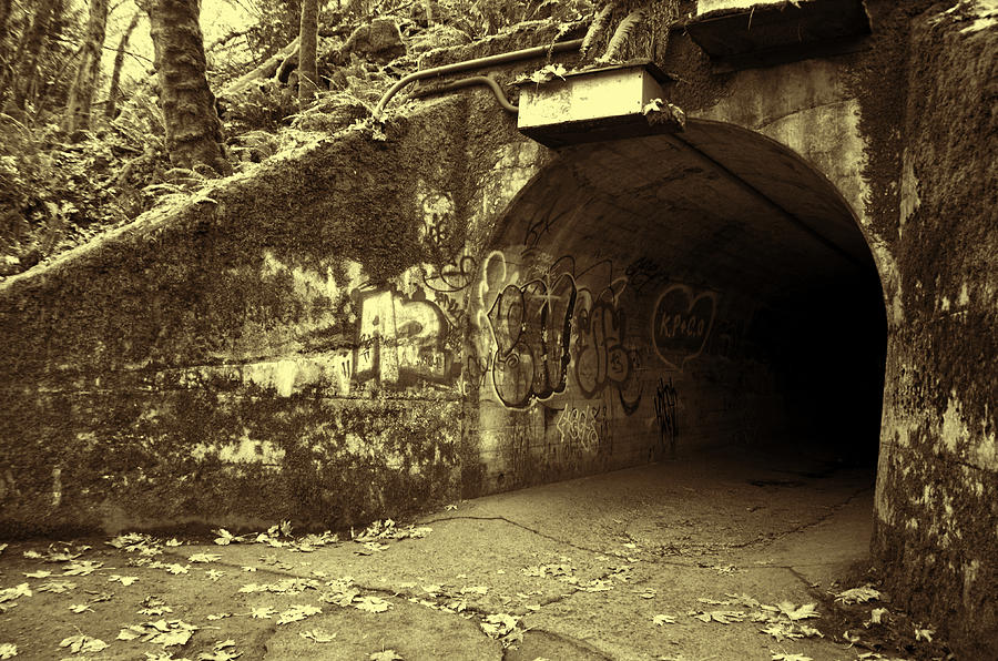 End of the Tunnel - sepia Photograph by Marilyn Wilson