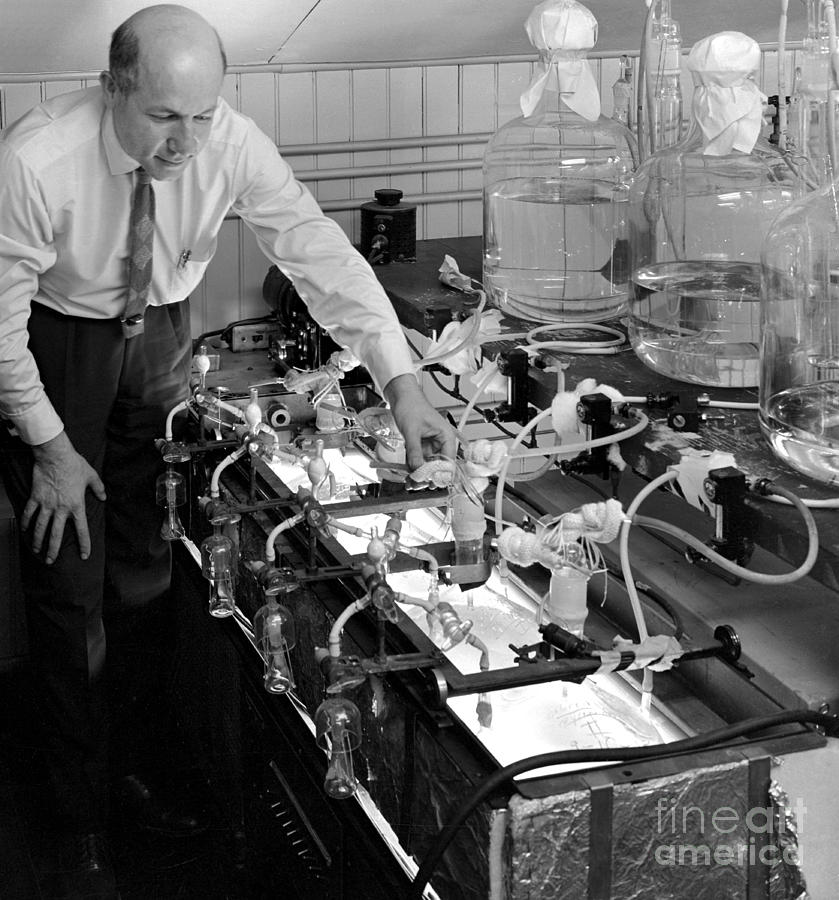 Melvin Calvin, American Chemist #4 Photograph by Science Source
