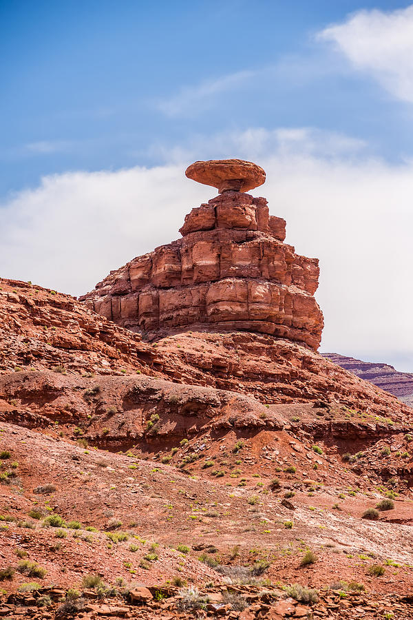 Mexican Hat Rock Monument Landscape On Sunny Day #4 Photograph by Alex Grichenko