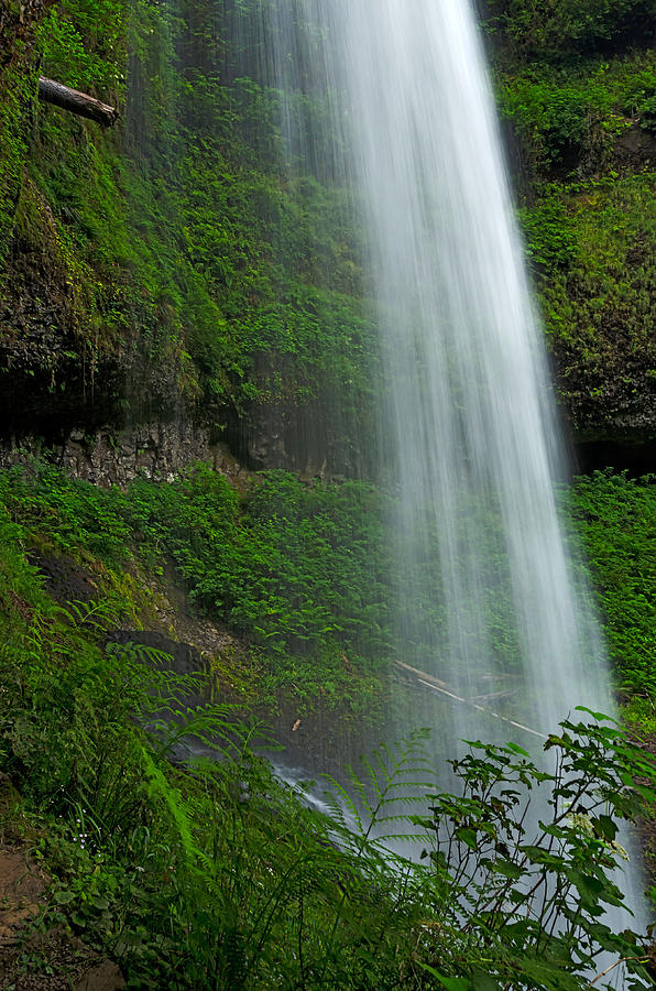 Middle North Falls in the Cascade Mountains, Oregon Photograph by