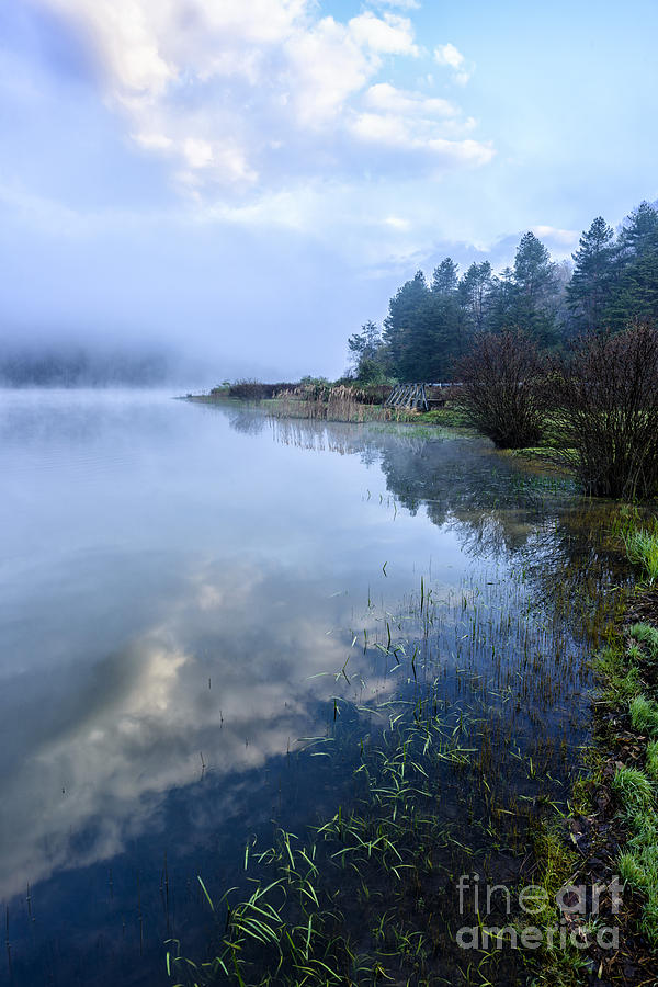 Misty Spring Morning  #4 Photograph by Thomas R Fletcher