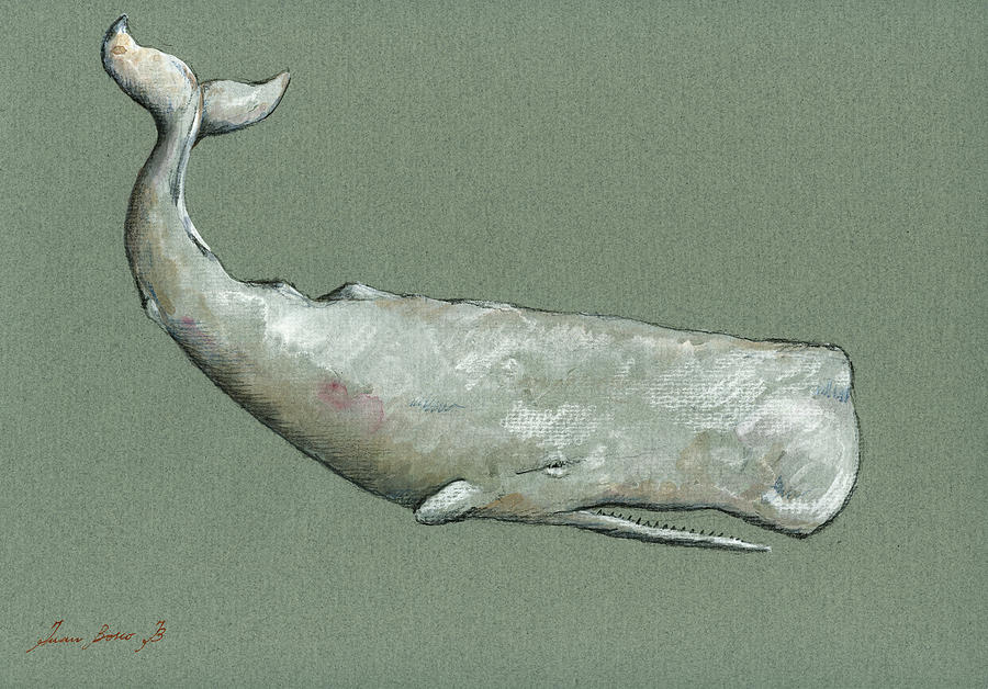 Moby Dick Painting - Moby dick the White sperm whale  #4 by Juan  Bosco