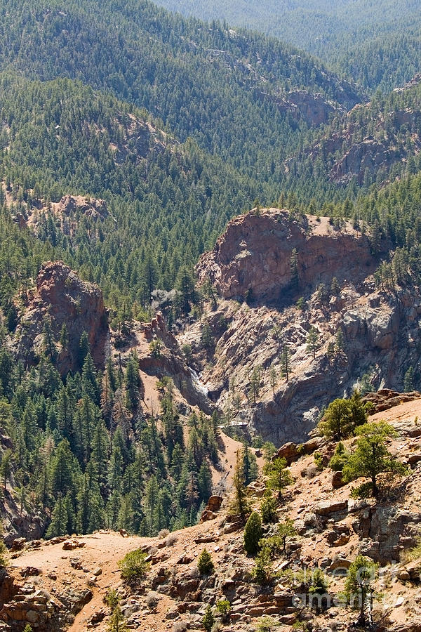 Mount Cutler Trail in Cheyenne Canyon in Colorado Springs #4 Photograph by Steven Krull