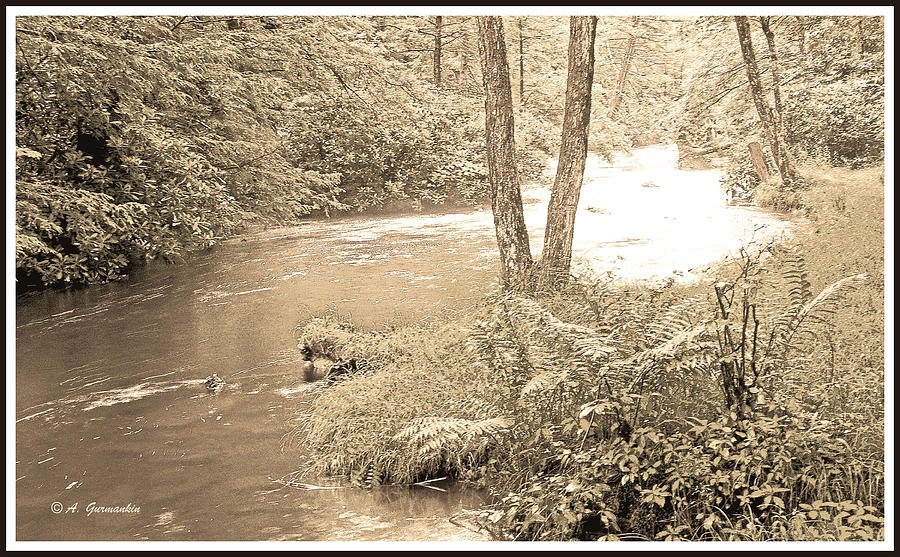 Mud Run Pocono Mountain Stream Pennsylvania #4 Photograph by A Macarthur Gurmankin
