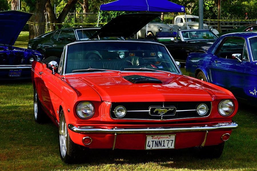 Mustang Details #4 Photograph by Dean Ferreira
