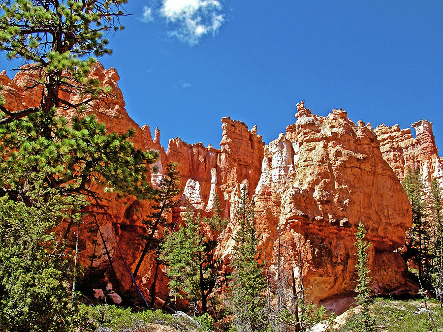 Navajo Trail in Bryce Canyon National Park, Utah  #4 Photograph by Ruth Hager